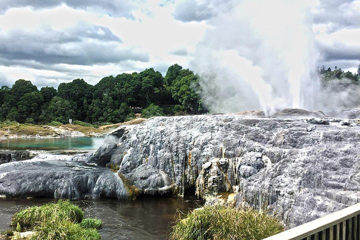 Rotorua Small Group Tour incl Te Puia, Buffet Lunch & Concert - Image 3