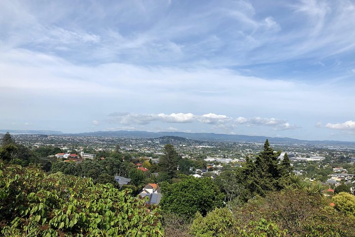 Rotorua & Waitomo caves day tours from Auckland - Image 5