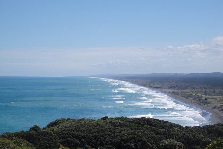 Shore Excursion: Auckland Scenic Full Day Tour - 8 Hours - Image 3