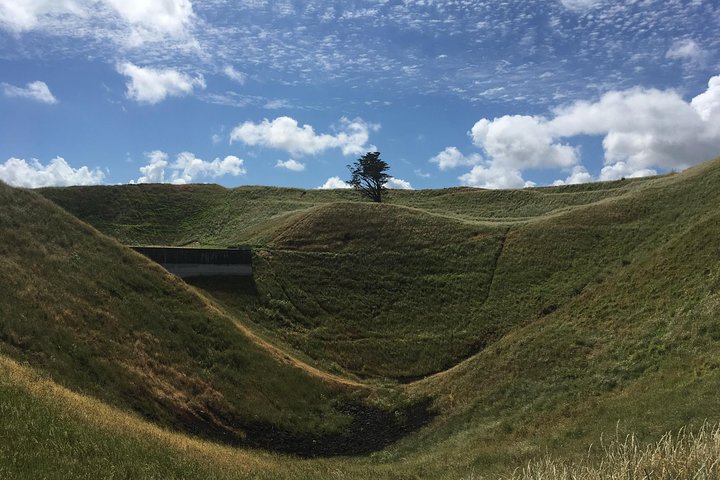 Shore Excursion: Half-Day Auckland Volcanoes Tour - Image 2