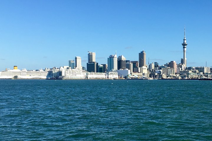 Shore Excursion: Half Day Small Group Auckland Scenic Tour - 4 HOURS - Image 5