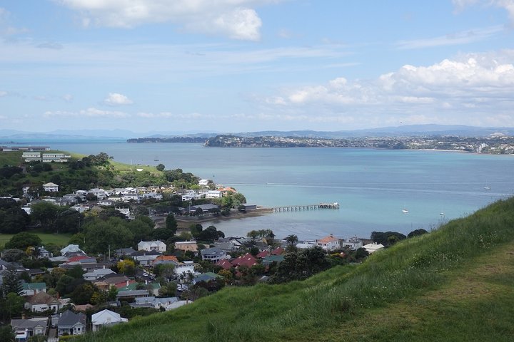 Shore Excursion: Half Day Small Group Auckland Scenic Tour - 4 HOURS - Image 2