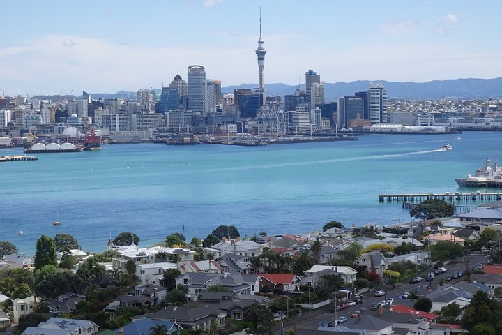 Shore Excursion: Half Day Small Group Auckland Scenic Tour - 4 HOURS - Image 1