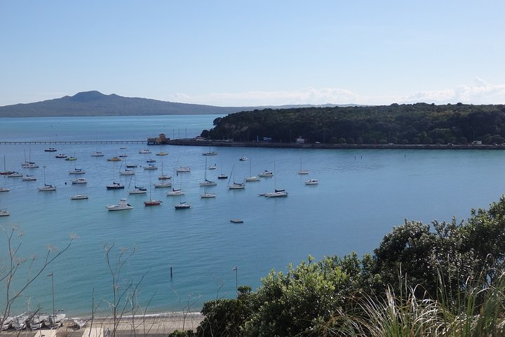 Shore Excursion: Half Day Small Group Auckland Scenic Tour - 4 HOURS - Image 3