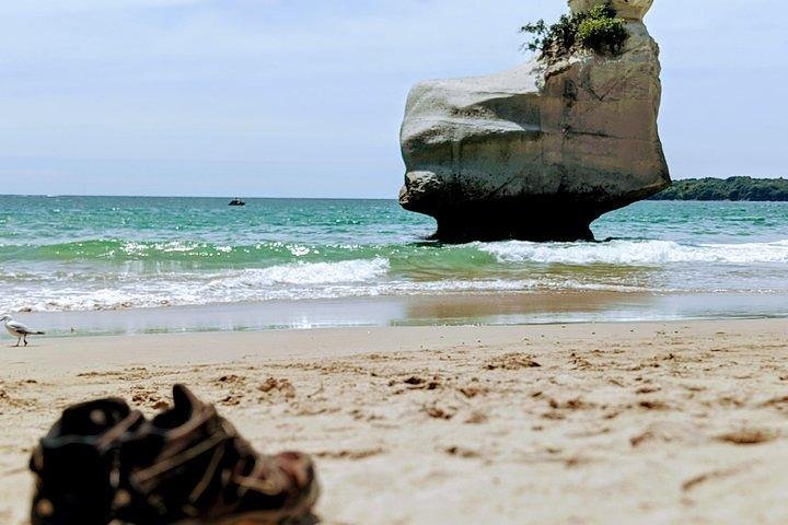 Small group. Cathedral cove and Hot water beach, Coromandel Tour - Image 4