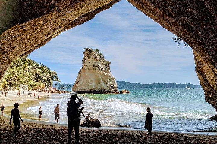 Small group. Cathedral cove and Hot water beach, Coromandel Tour - Image 1