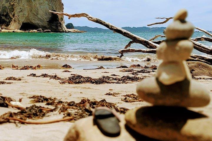 Small group. Cathedral cove and Hot water beach, Coromandel Tour - Image 5