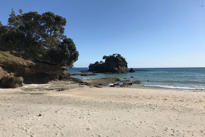 Stunning Auckland East Coast Walk & Wine Private Tour - Image 5