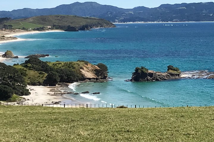 Stunning Auckland East Coast Walk & Wine Private Tour - Image 2