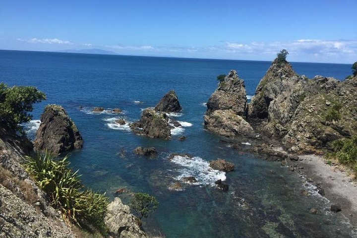 Tāwharanui- Get away from it all and experience New Zealand at its best - private tour - Image 4