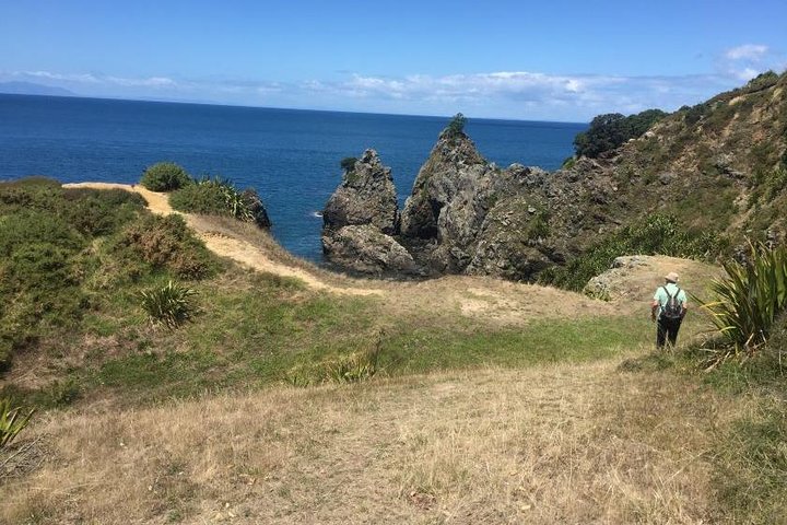 Tāwharanui- Get away from it all and experience New Zealand at its best - private tour - Image 3