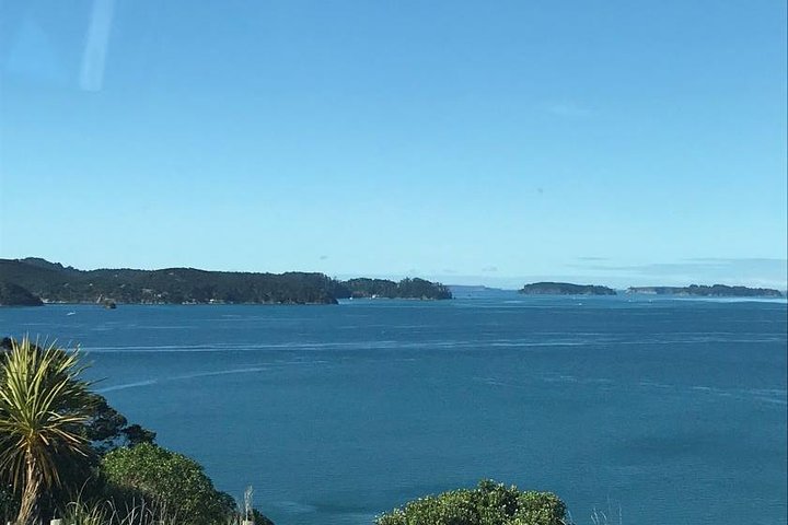 Tāwharanui- Get away from it all and experience New Zealand at its best - private tour - Image 5