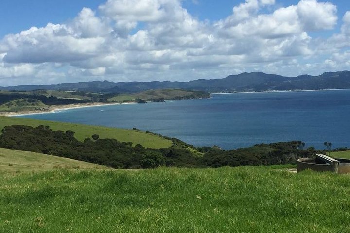 Tāwharanui- Get away from it all and experience New Zealand at its best - private tour - Image 2