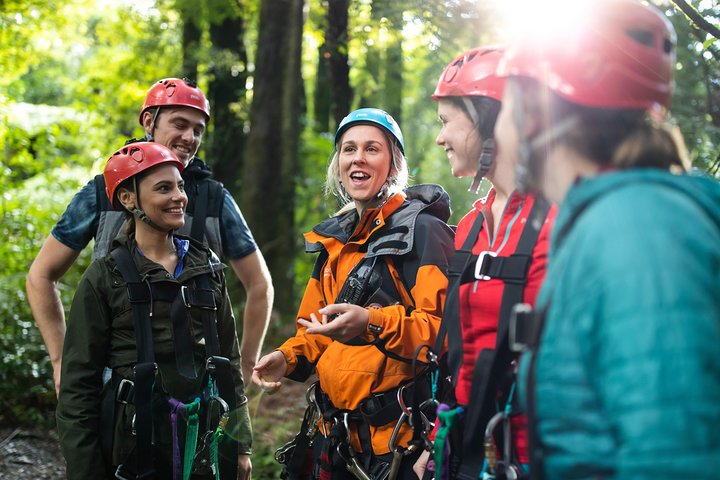The Original Canopy Zipline Experience Private Tour From Auckland - Image 5