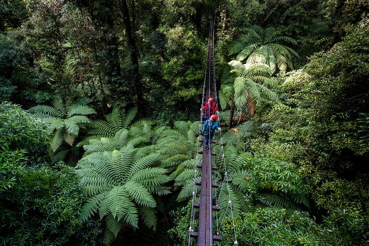 The Original Canopy Zipline Experience Private Tour From Auckland - Image 2