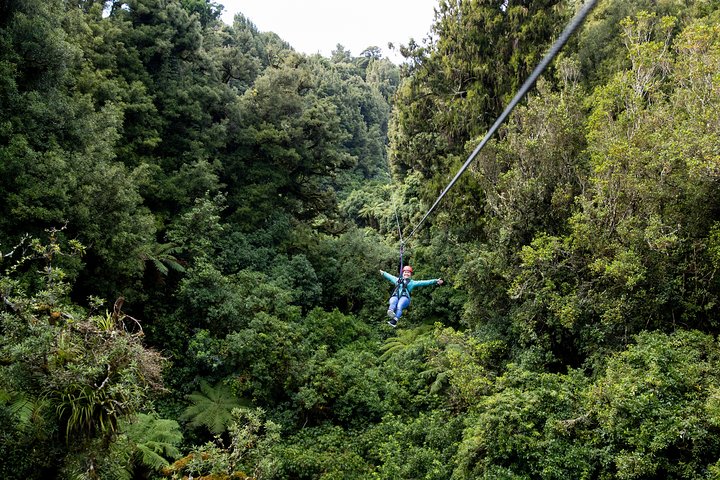The Original Canopy Zipline Experience Private Tour From Auckland - Image 3