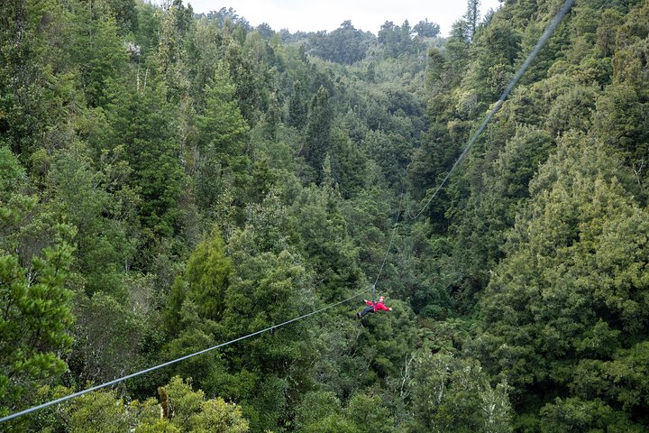 The Ultimate Canopy Zipline Experience Private Tour From Auckland - Image 3