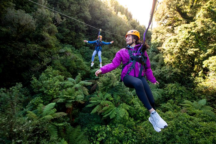 The Ultimate Canopy Zipline Experience Private Tour From Auckland - Image 1