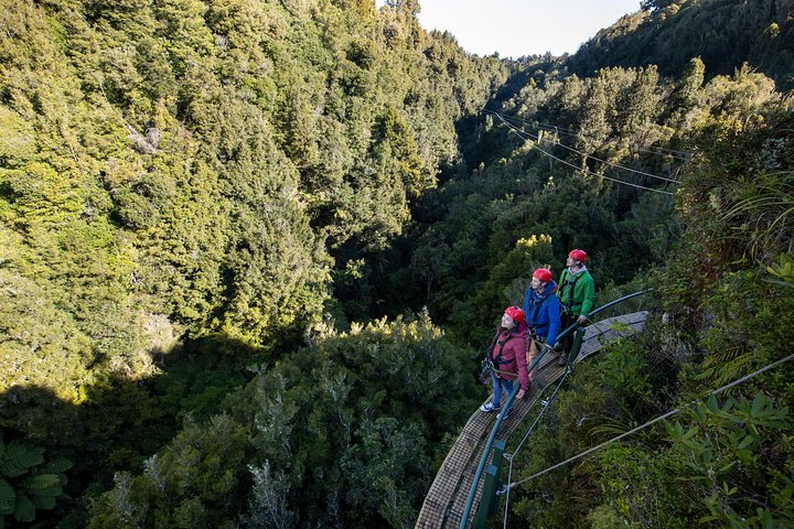 The Ultimate Canopy Zipline Experience Private Tour From Auckland - Image 2