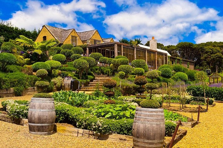 Waiheke Island Private Luxury Experience - Image 2
