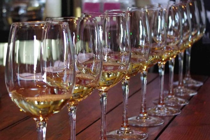 Waiheke Island Private Luxury Experience - Image 3