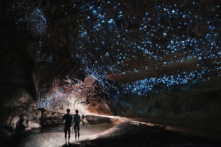 Waitomo Caves Private Tour from Auckland - Image 2