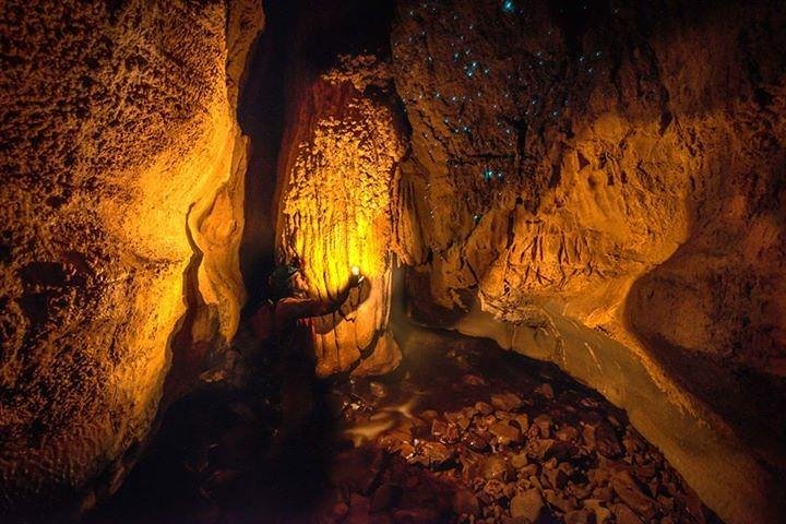 Waitomo Caves Private Tour from Auckland - Image 3