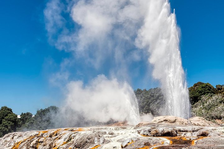 Waitomo Caves & Rotorua Small Group Tour including Te Puia from Auckland  - Image 2