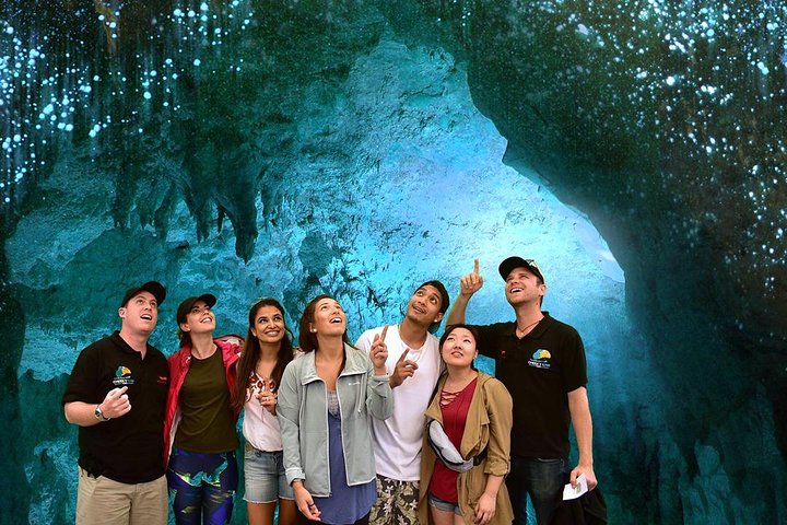 Waitomo Caves & Rotorua Small Group Tour including Te Puia from Auckland  - Image 4