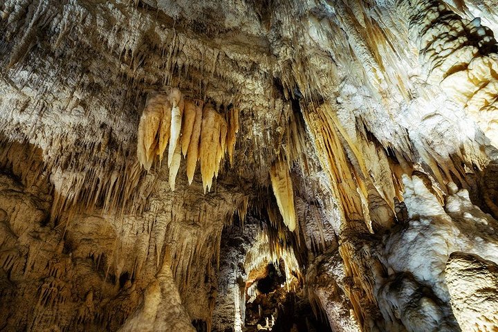 Waitomo Caves & Rotorua Small Group Tour including Te Puia from Auckland  - Image 3