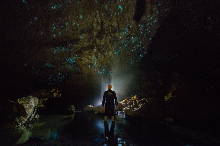 Waitomo glowworm caves. Small group of 4-5 people. - Image 2