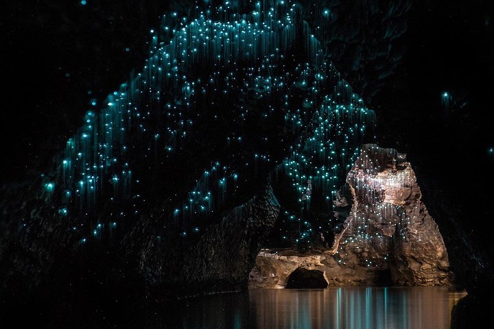 Waitomo glowworm caves. Small group of 4-5 people. - Image 1