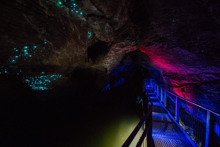 Waitomo Glowworm & Ruakuri Twin Cave - Private Tour From Auckland - Image 4