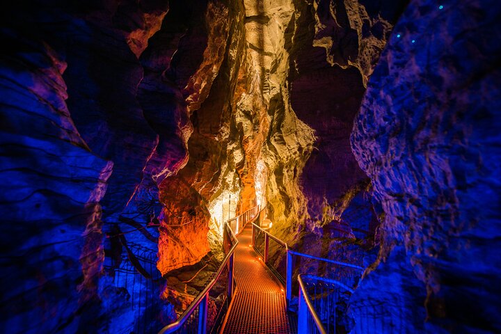 Waitomo Glowworm & Ruakuri Twin Cave - Private Tour From Auckland - Image 5
