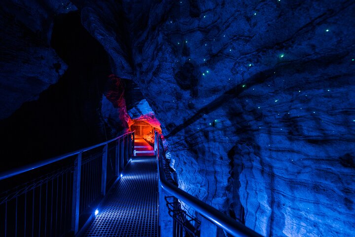 Waitomo Glowworm & Ruakuri Twin Cave - Private Tour From Auckland - Image 2