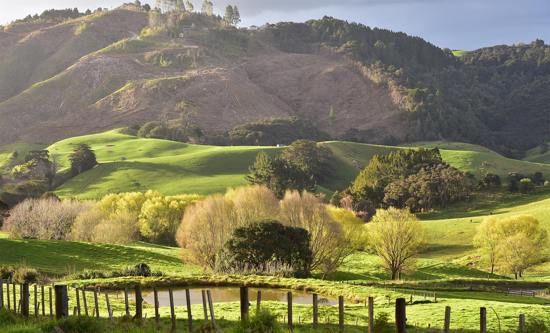 West Auckland Countryside - Image 1