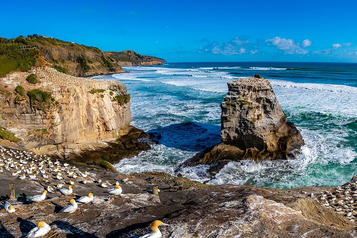 Wild West Coast & Black Sand Beach Tour incl Craft Beer Brewery Lunch & Tasting - Image 2