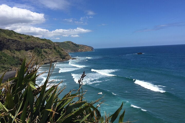 Wineries Honey and Black Sand Beaches from Auckland - Image 3