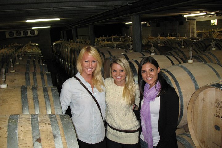 Wineries Honey and Black Sand Beaches from Auckland - Image 1