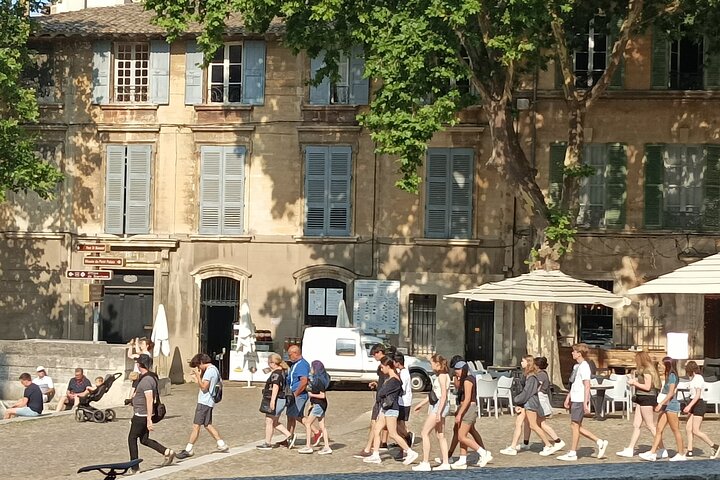 Avignon private guided tour - Image 2