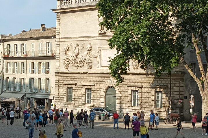 Avignon private tour - Image 5