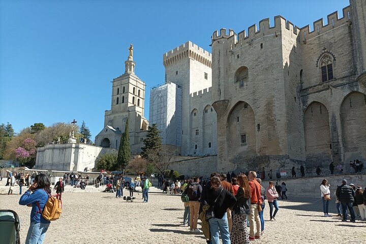 Avignon private tour - Image 3