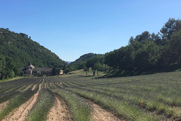 Discover Provence including Avignon and Luberon Villages from Avignon - Image 1