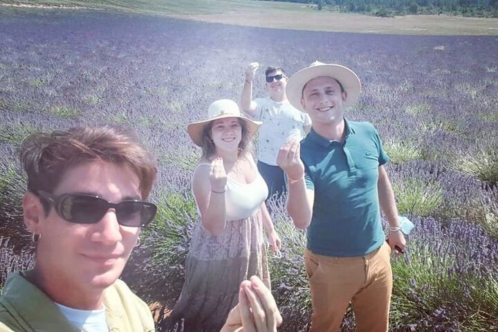Lavender Discovery Private Tour in Provence - Image 1