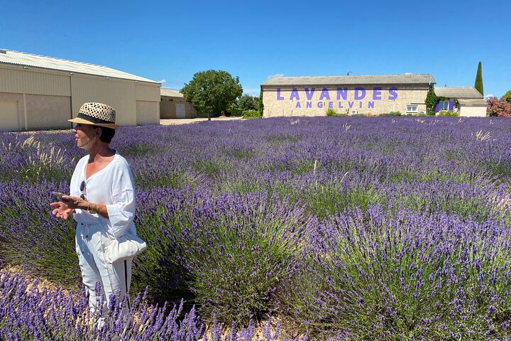 Lavender Discovery Private Tour in Provence - Image 2