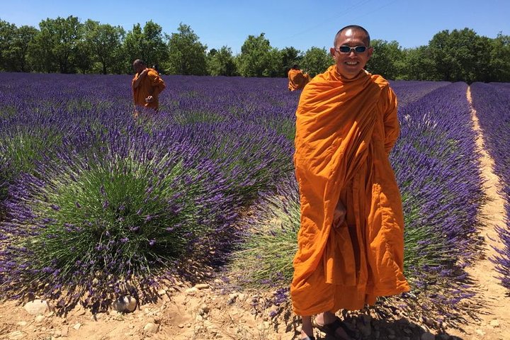 Provence Tour - Image 5