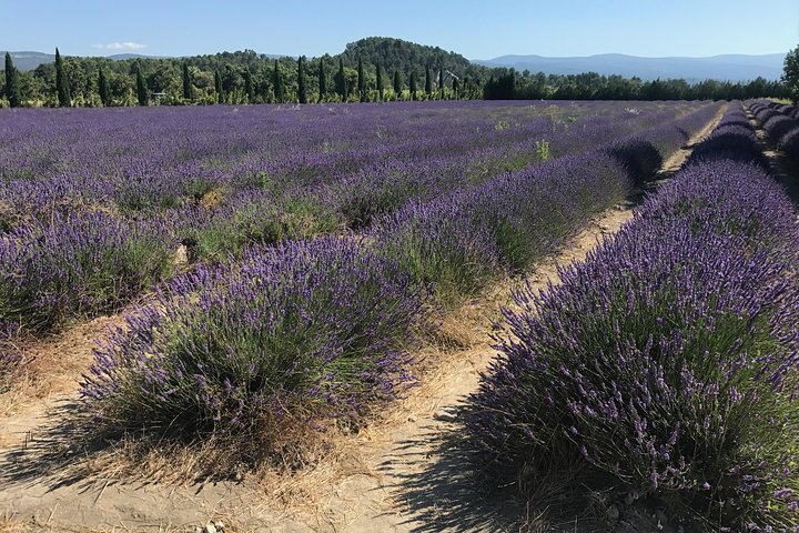 The hilltop villages of the Luberon - Image 1