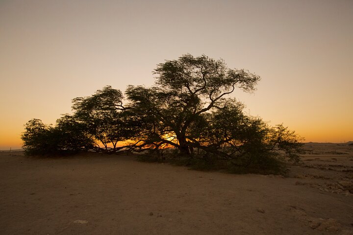 Ancient Garden of Eden - Image 4