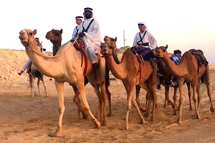 Private Full-Day Bahrain Desert Tour - Image 1