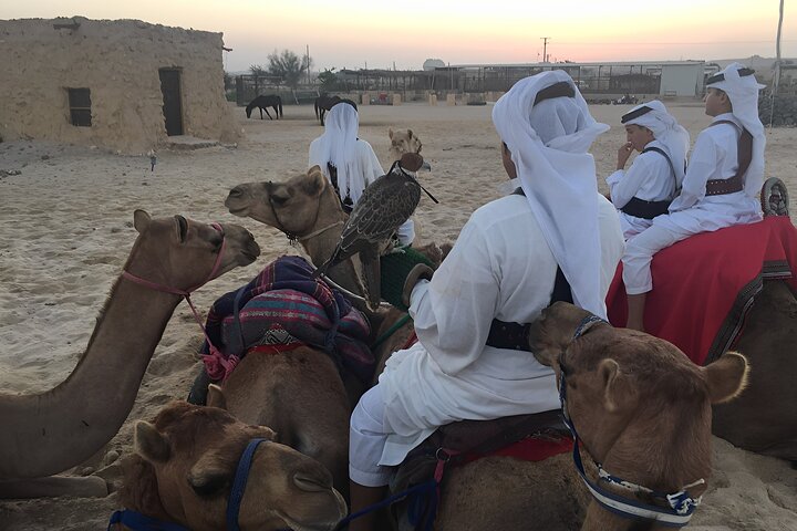 Private Full-Day Bahrain Desert Tour - Image 4